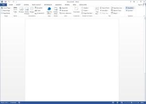 Microsoft Word 2013 blank document