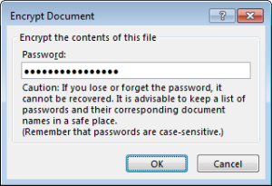 Microsoft Word enter encryption password